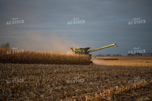 Combine Harvesting Corn 76086