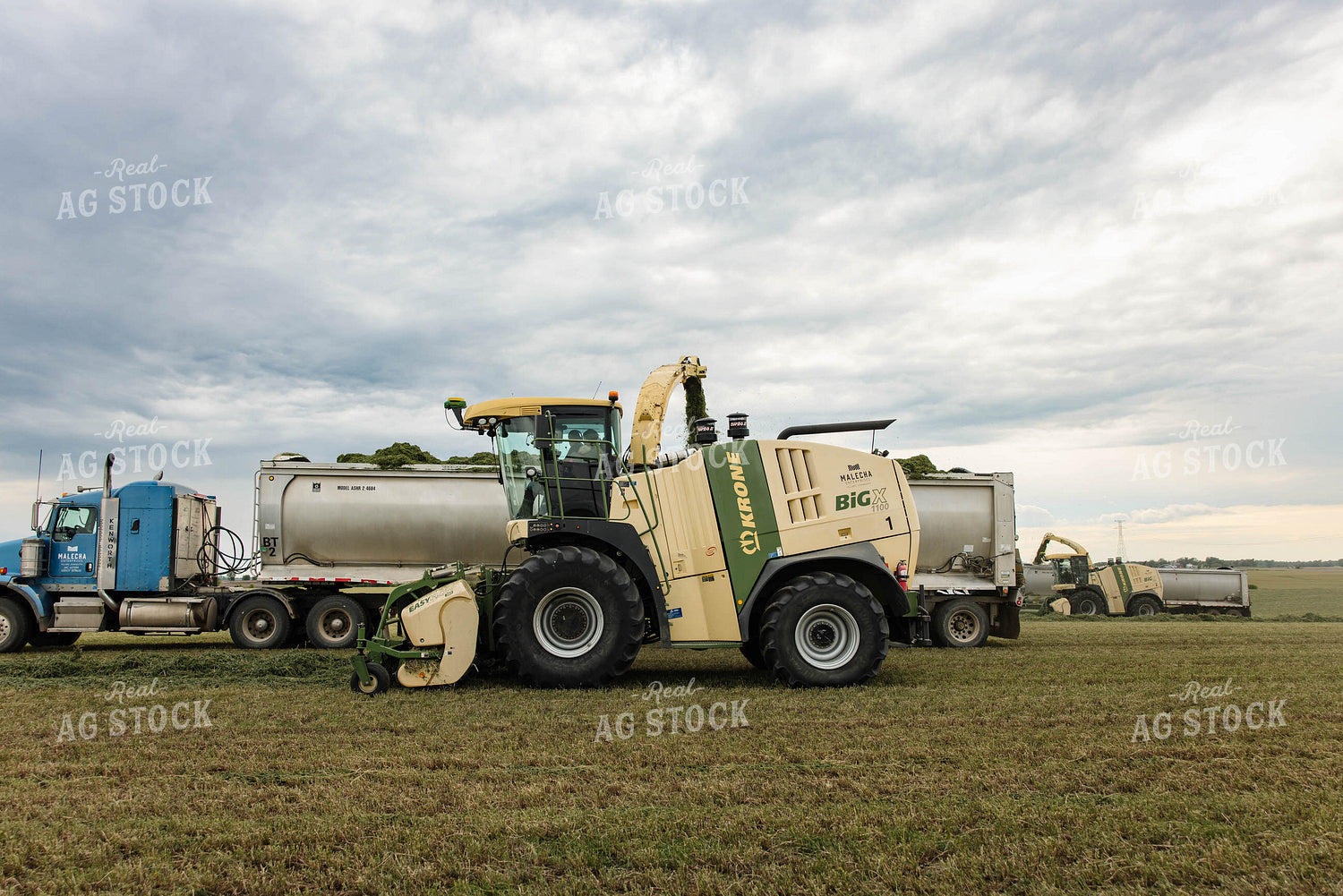 Harvesting Haylage 152803