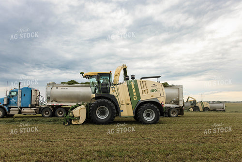 Harvesting Haylage 152803