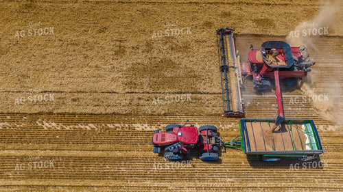 Wheat Harvest 199048