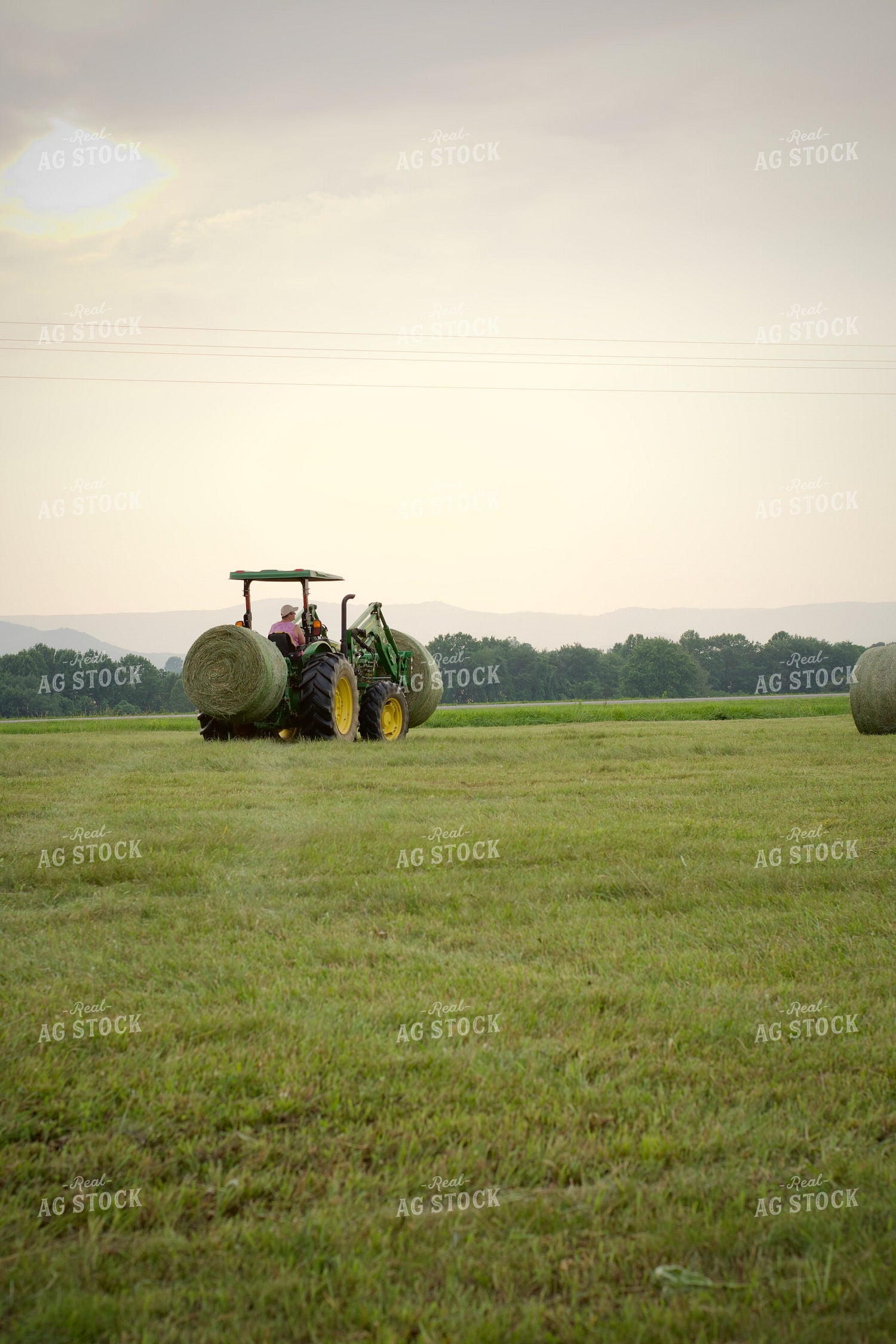 Putting Up Hay 251171