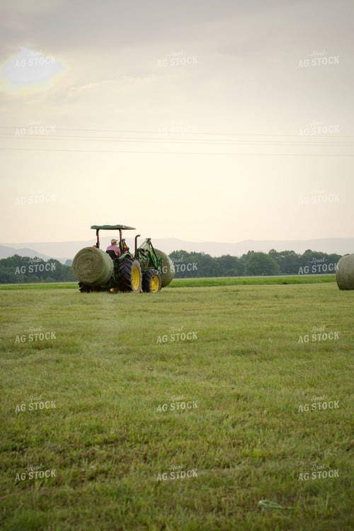 Putting Up Hay 251171