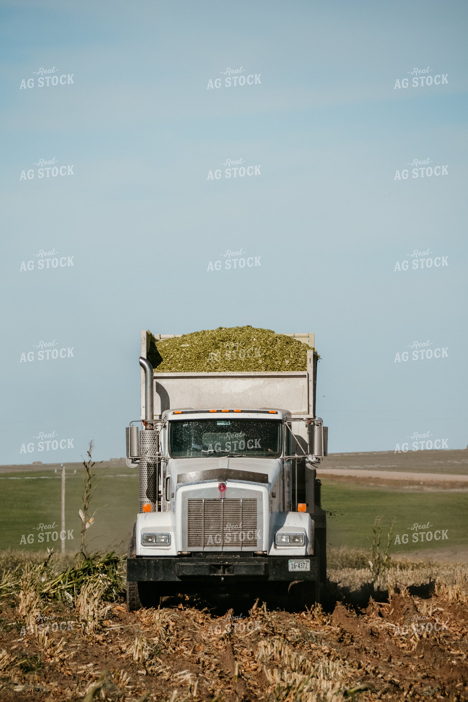 Truck full of Silage 64073