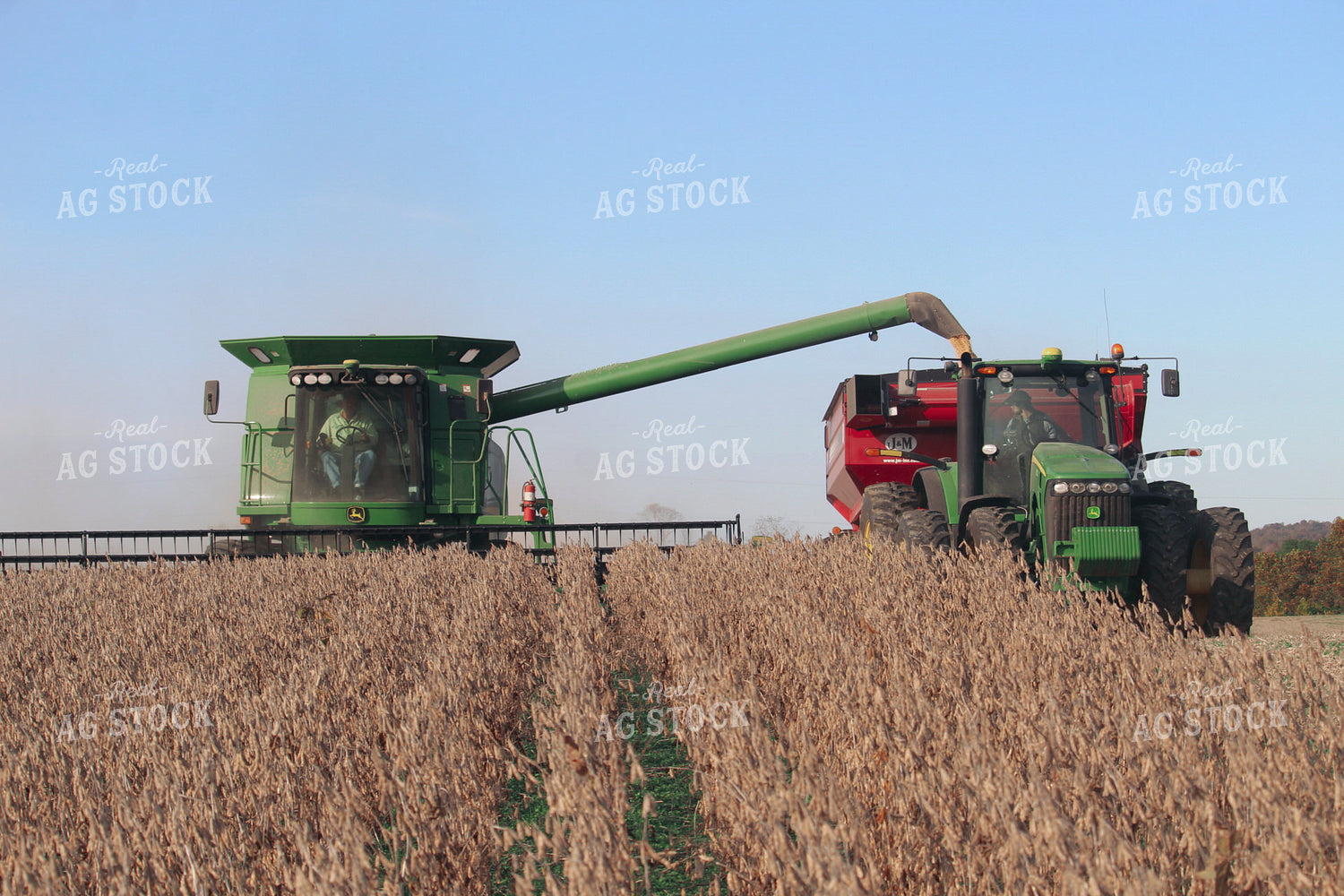 Unloading Soybeans on the Go 52074