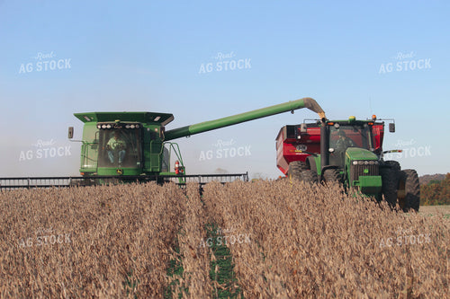 Unloading Soybeans on the Go 52074