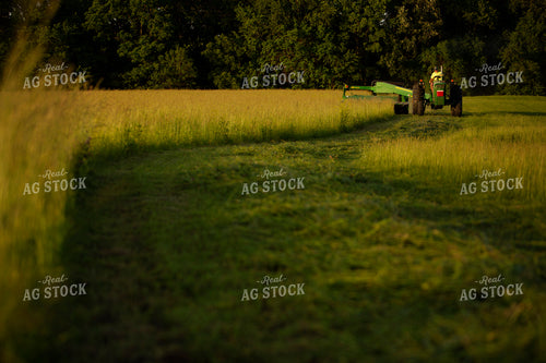 Cutting Hay 4952