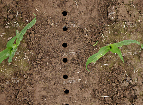 Soil Sampling 100063