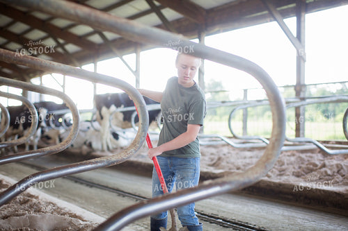 Female Farmer Cleaning Dairy Bedding 55316