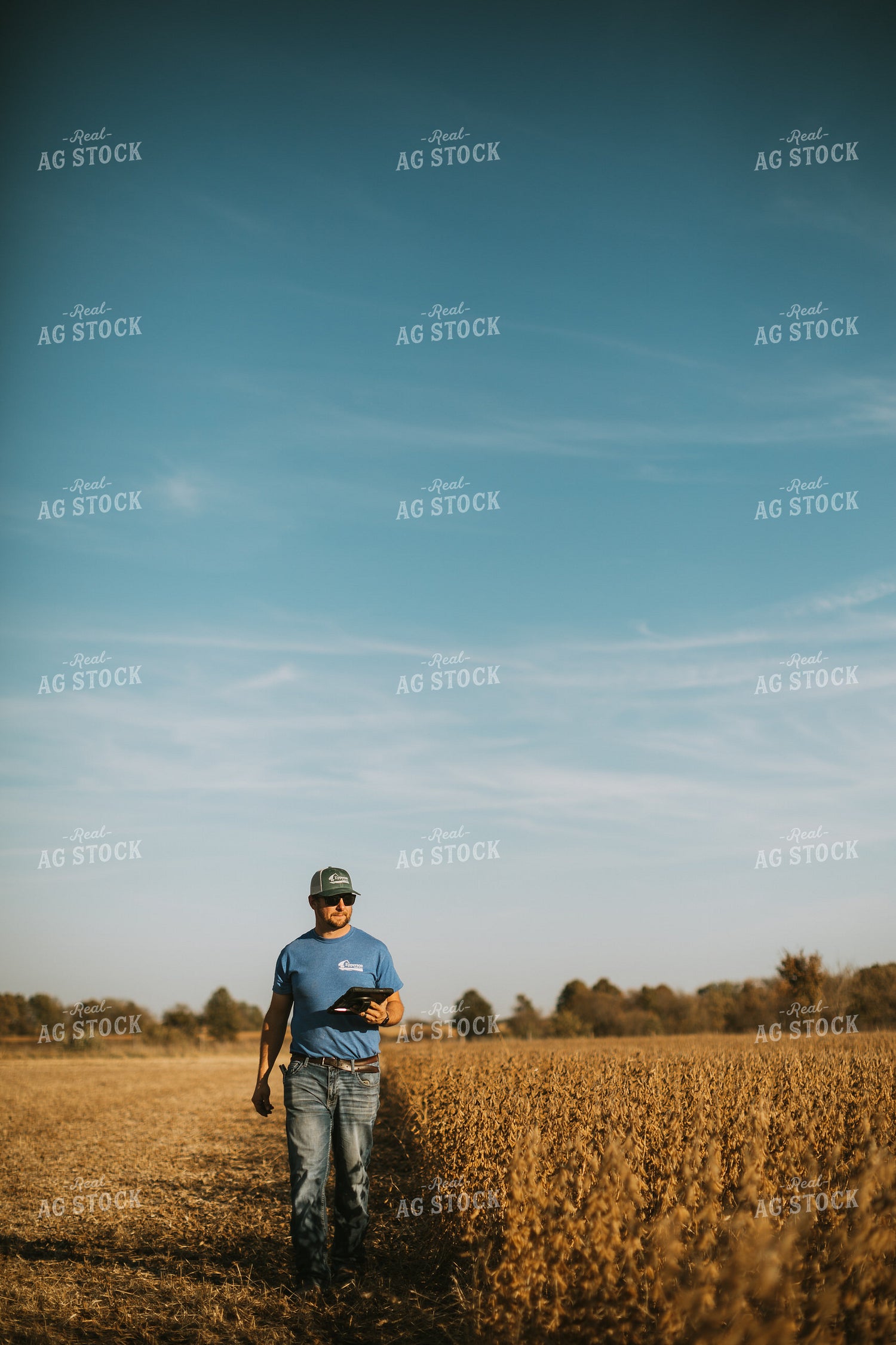 Farmer in Field with Tablet 7180