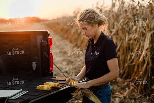 Female Agronomist Checking Corn 8343