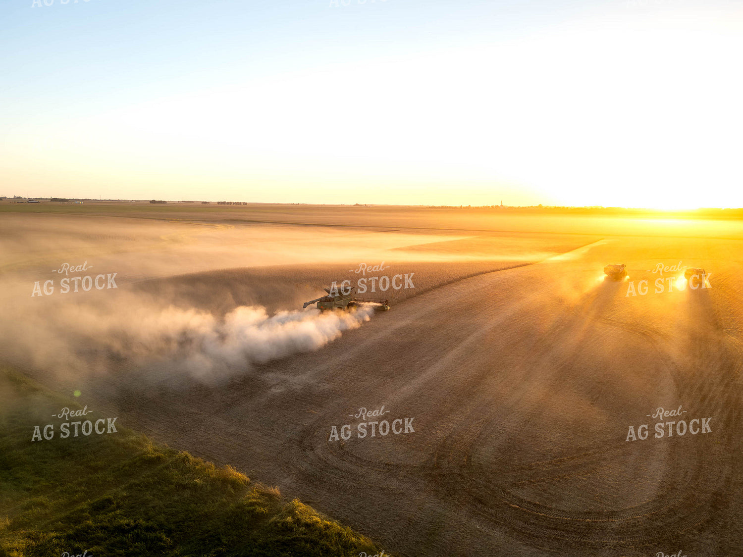 Aerial of Soybean Harvest 115616