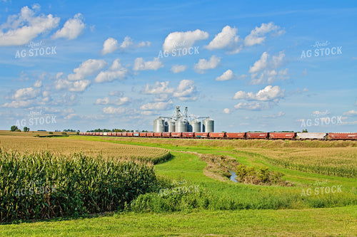Corn Field with Train and Grain Bins 150007