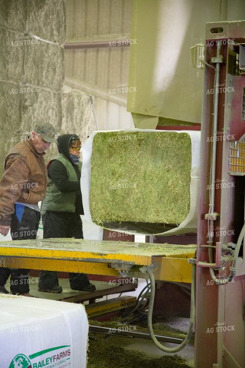 Farmers Wrapping Hay Bales 130017