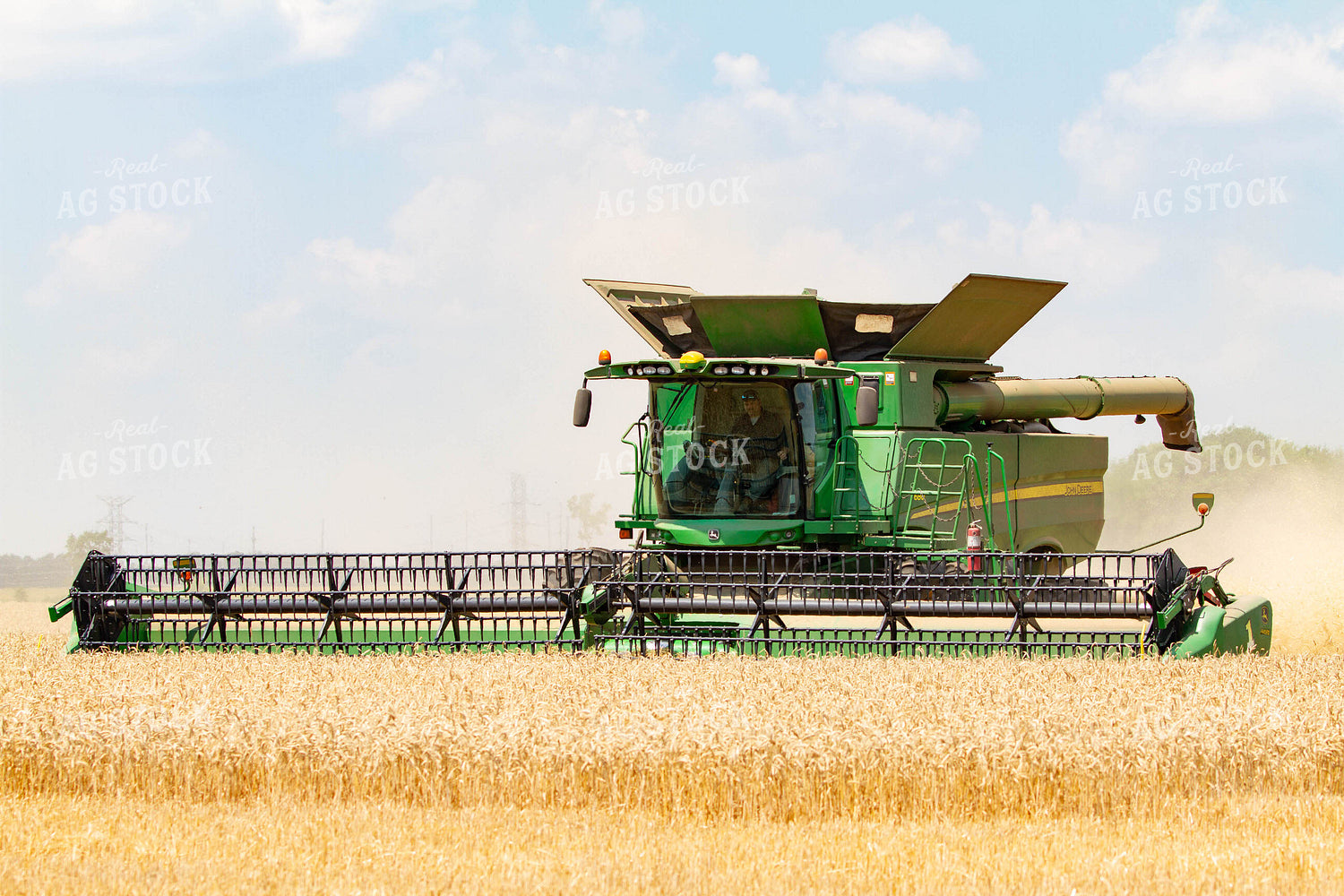 Combining Wheat 79100