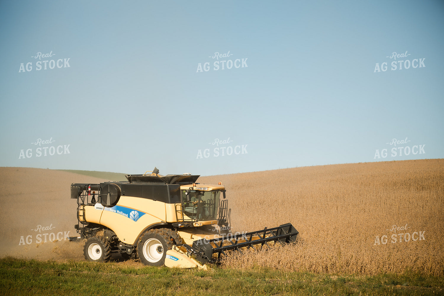 Soybean Harvest 215084