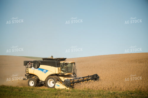 Soybean Harvest 215084