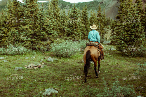 Riding Horse in Mountains 58009