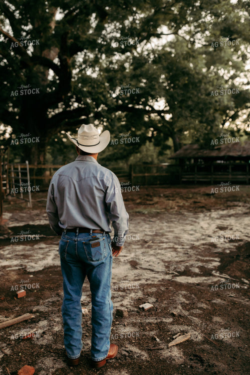 Rancher 203013