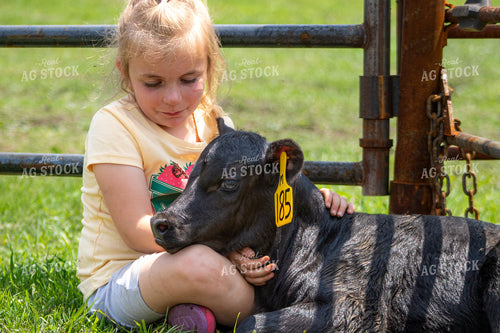 Farm Kid with Calf 214215