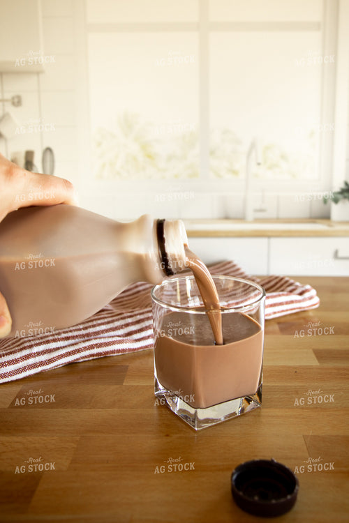 Chocolate Milk 67842