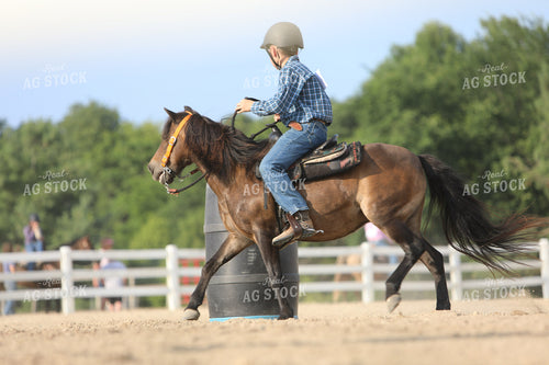Equestrian Riding Horse 160047