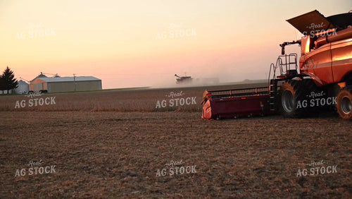 Two Combines Harvesting Soybeans at Sunset - 526