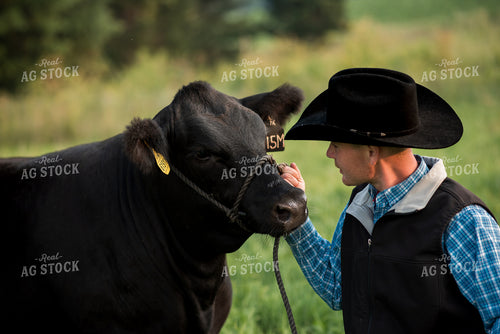 Farm Kid with Show Cow 76735