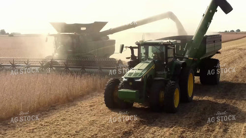 Soybean Harvest 287047
