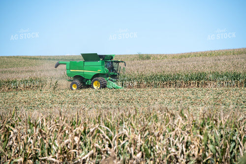 Corn Harvest 193117