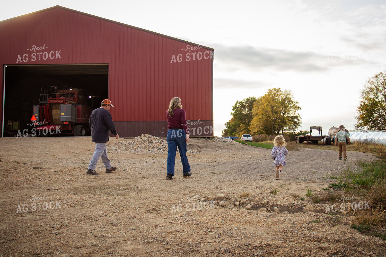Family Walking Across Farmyard 268119
