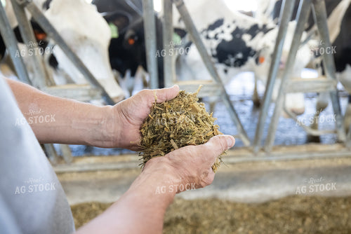Farmer Holding TMR 270341