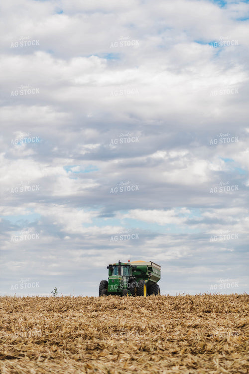 Corn Harvest 115098