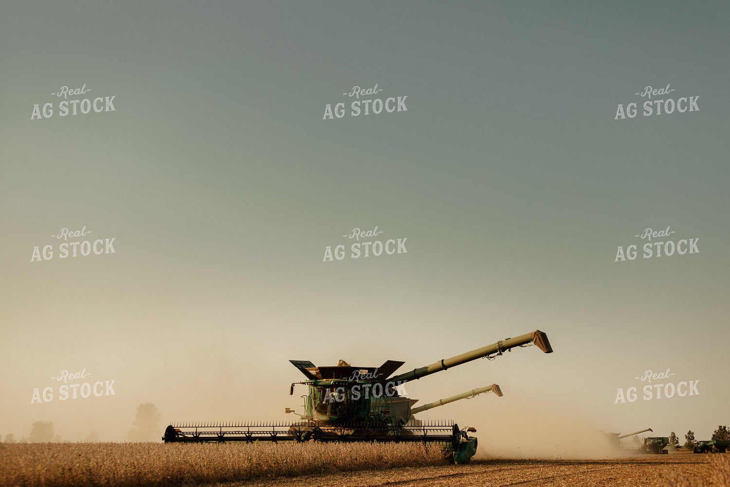 Soybean Harvest 9231