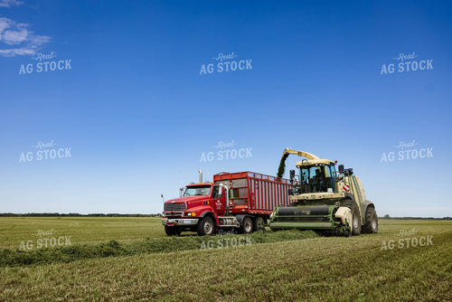 Harvesting Hay Silage 152443