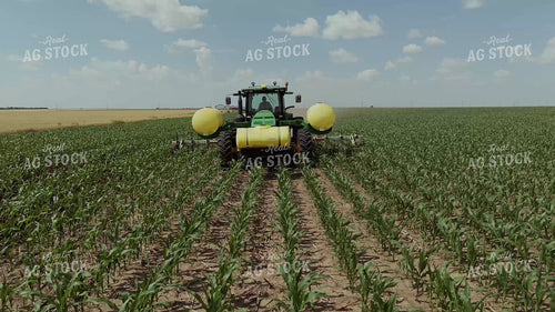 Ripping Corn 239318