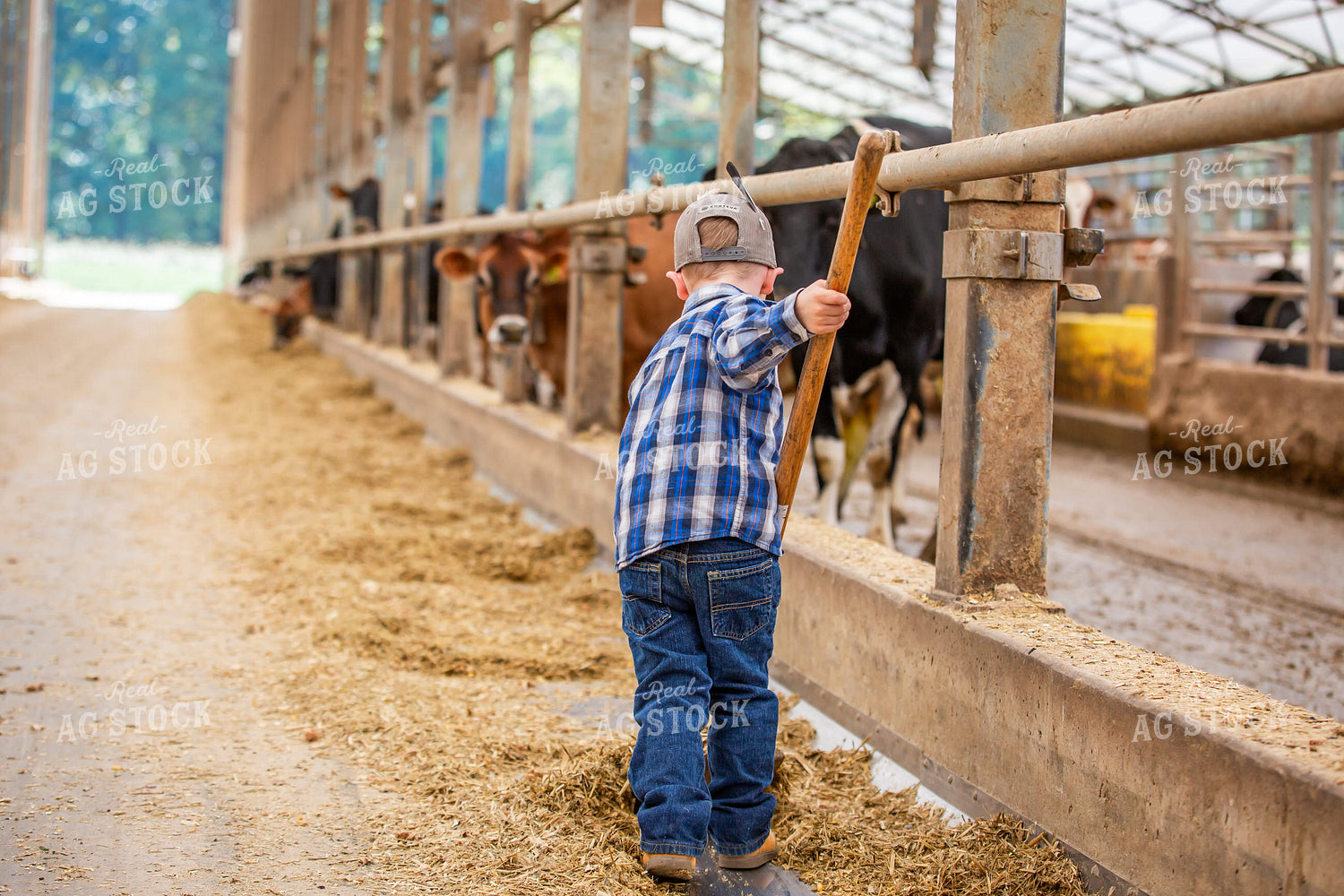 Farm Kid Clearing Alley 270024