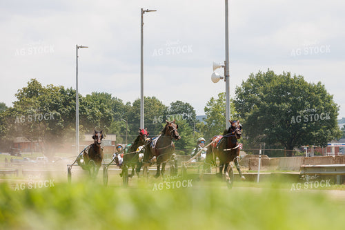 Harness Racing 52933