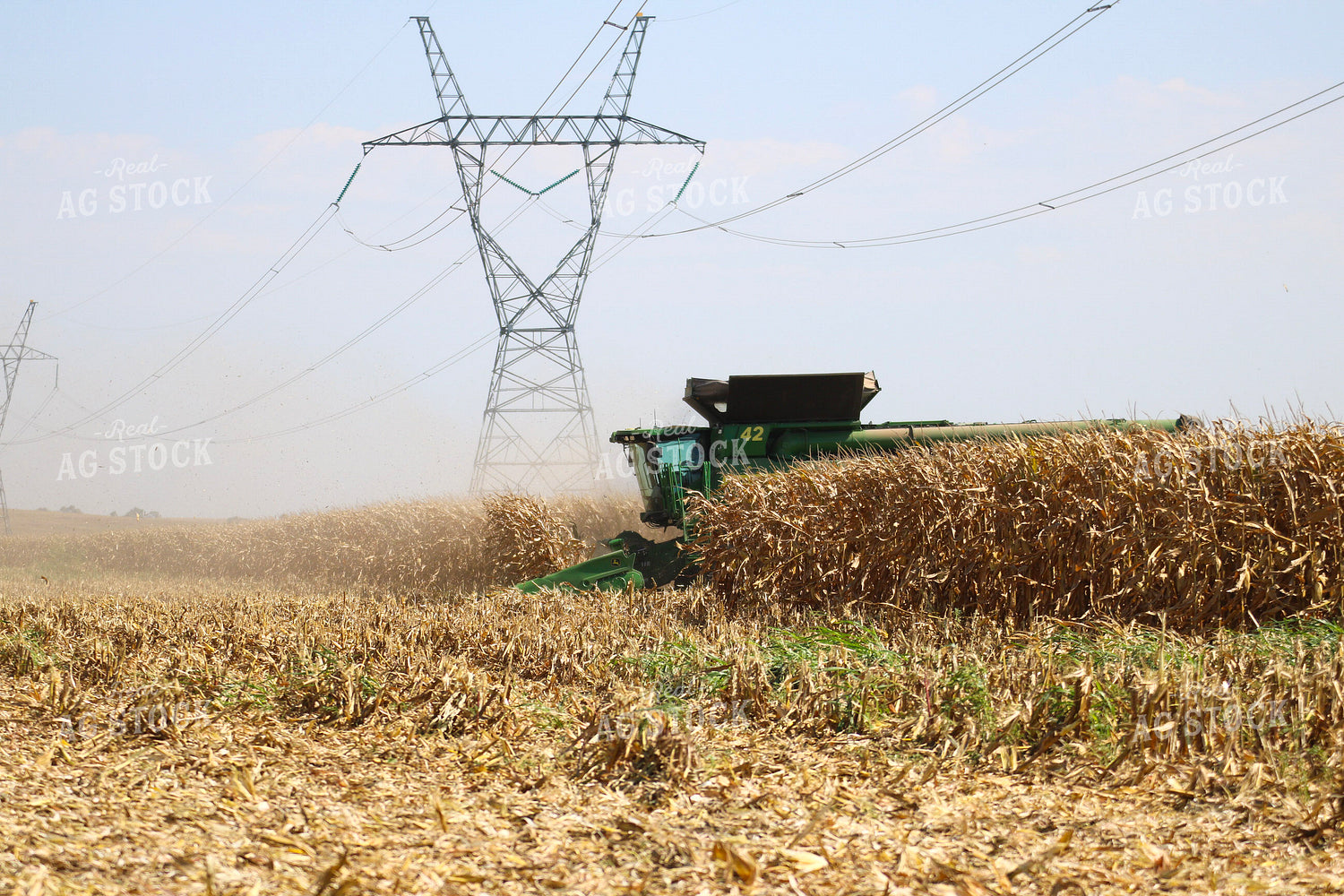 Corn Harvest 82347