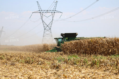 Corn Harvest 82347