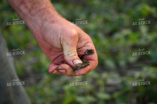 Soil Sampling 191214