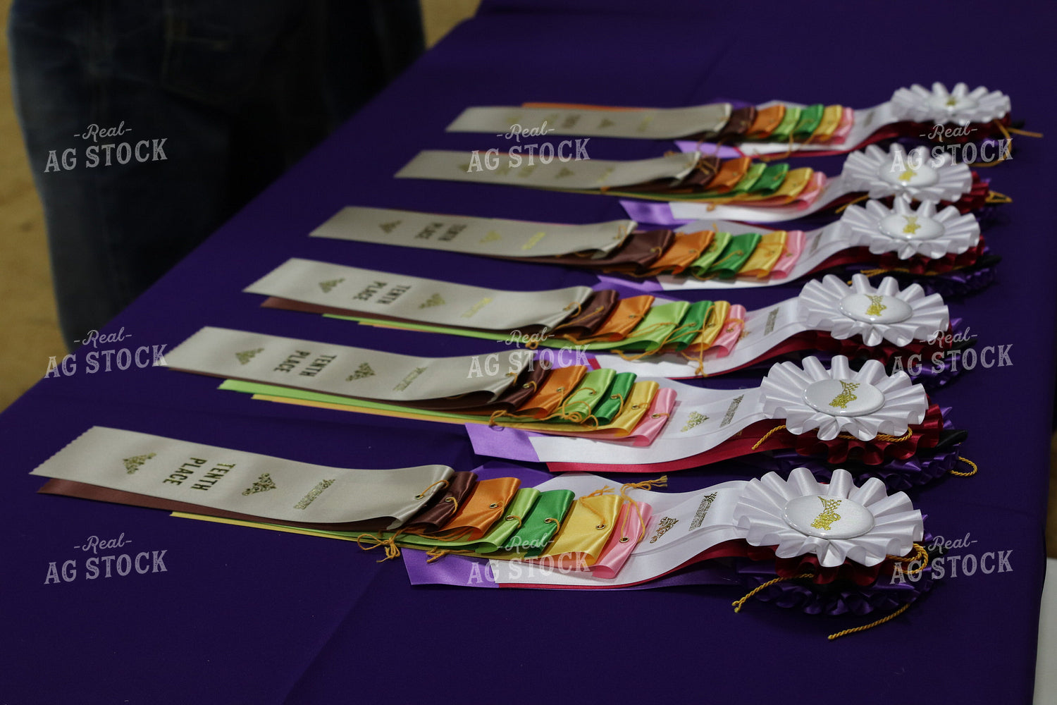 Show Ribbons 102060