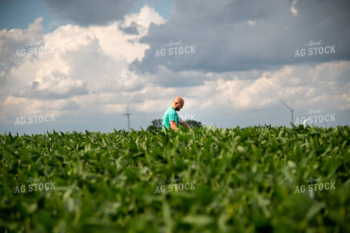 Farmer Scouting Growing Crops 25296
