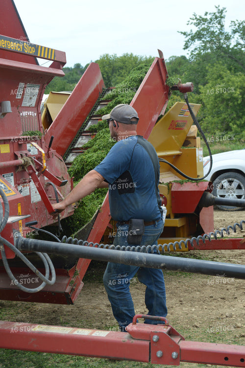 Farmer Putting Up Haylage 206051