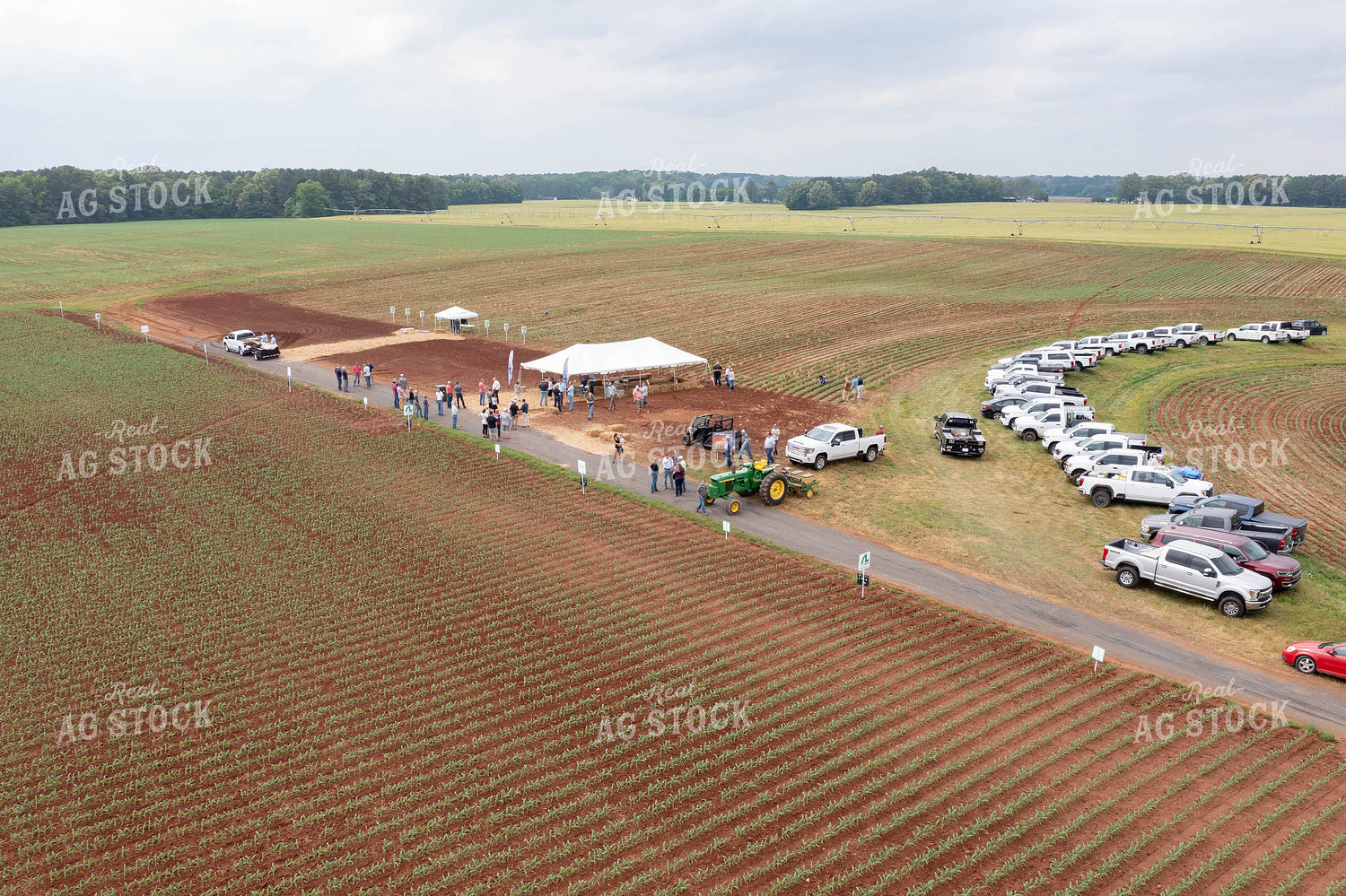 Aerial View of Field Day 79303