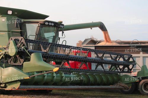Combine Filling Semi with Soybeans 52070
