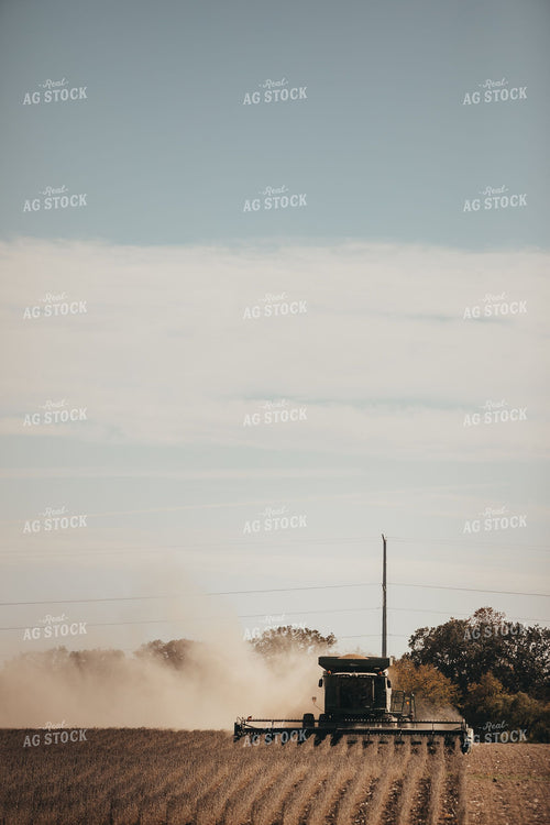 Combine Harvesting Soybeans with Dust Billowing Across Open Field 400008