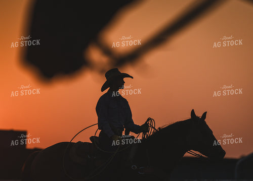 Rancher on Horseback 219114