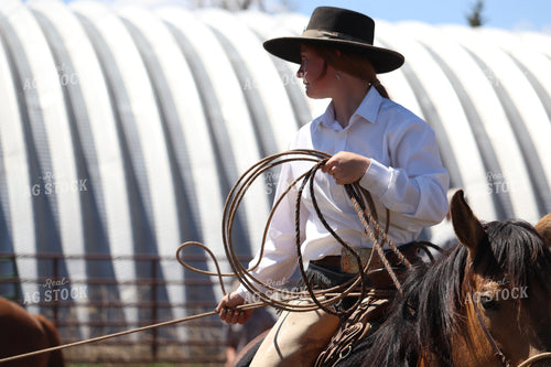 Working Cattle 102133