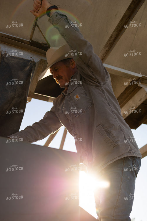 Rancher Working 71026