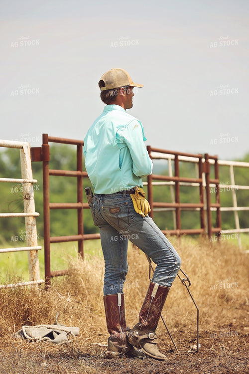 Ranchers Working Cattle 127053